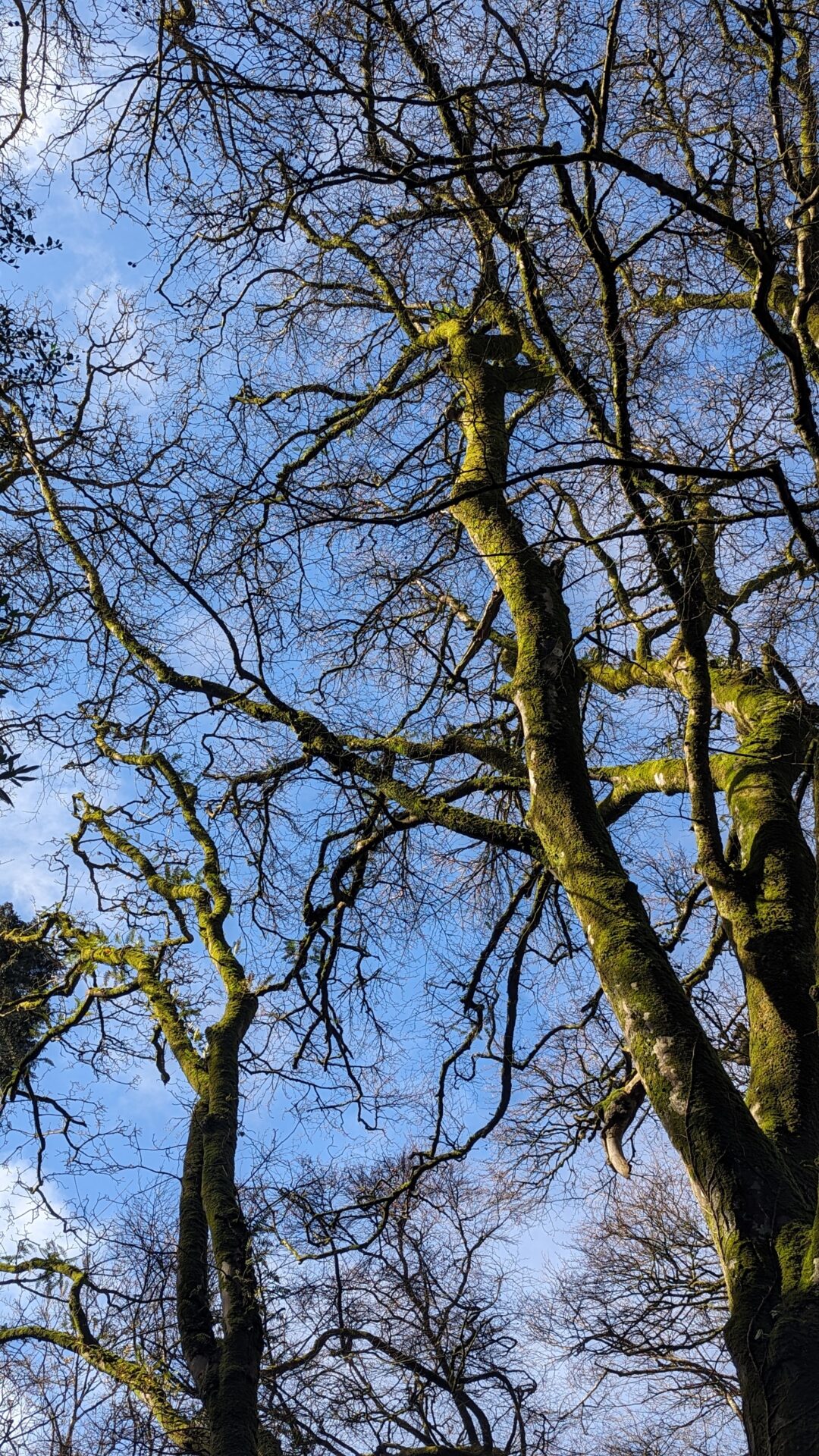 St Nectan's Glen Retreat